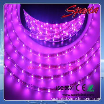 Flexible 110V Waterproof LED Color Changing Rope Light